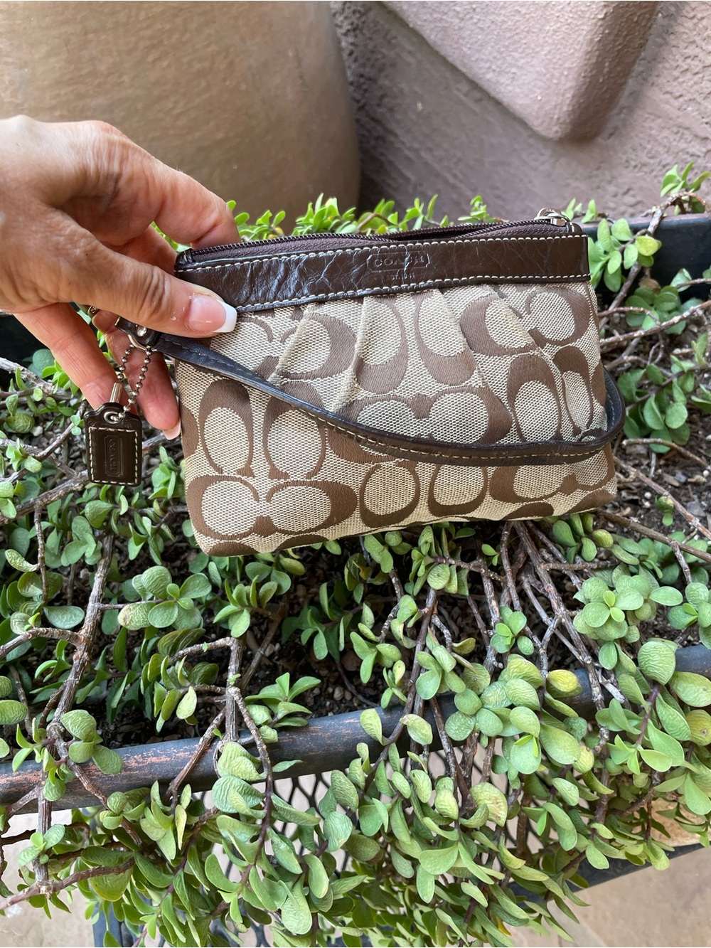 Coach Khaki and Brown Signature Canvas Wristlet